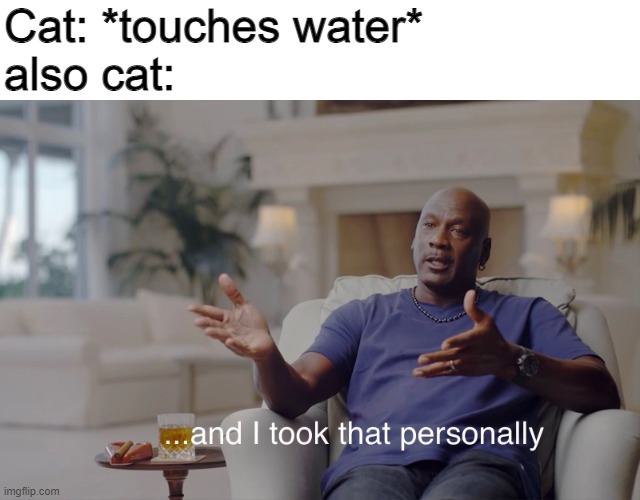 Why do they do that? | Cat: *touches water*
also cat: | image tagged in and i took that personally | made w/ Imgflip meme maker