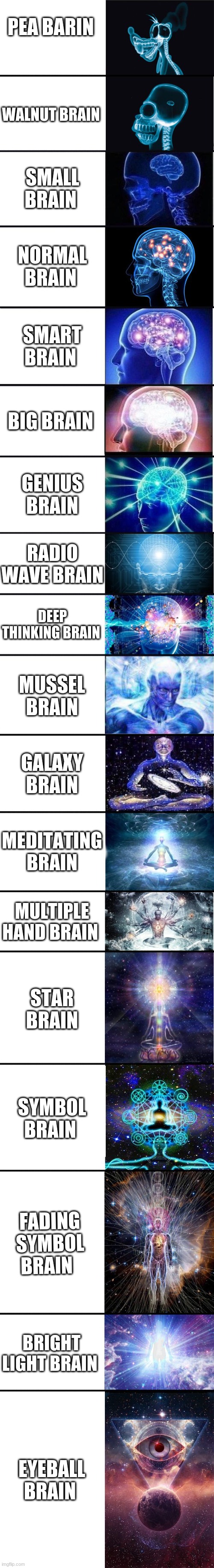 expanding brain: 9001 | PEA BARIN; WALNUT BRAIN; SMALL BRAIN; NORMAL BRAIN; SMART BRAIN; BIG BRAIN; GENIUS BRAIN; RADIO WAVE BRAIN; DEEP THINKING BRAIN; MUSSEL BRAIN; GALAXY BRAIN; MEDITATING BRAIN; MULTIPLE HAND BRAIN; STAR BRAIN; SYMBOL BRAIN; FADING SYMBOL BRAIN; BRIGHT LIGHT BRAIN; EYEBALL BRAIN | image tagged in expanding brain 9001 | made w/ Imgflip meme maker