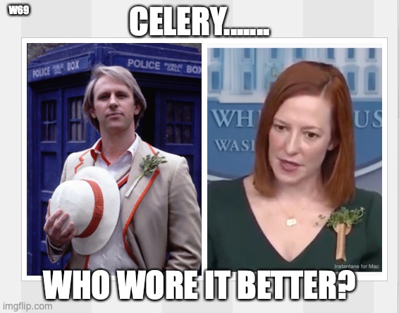 press secertary | W69; CELERY....... WHO WORE IT BETTER? | image tagged in press,celery,doctor who | made w/ Imgflip meme maker