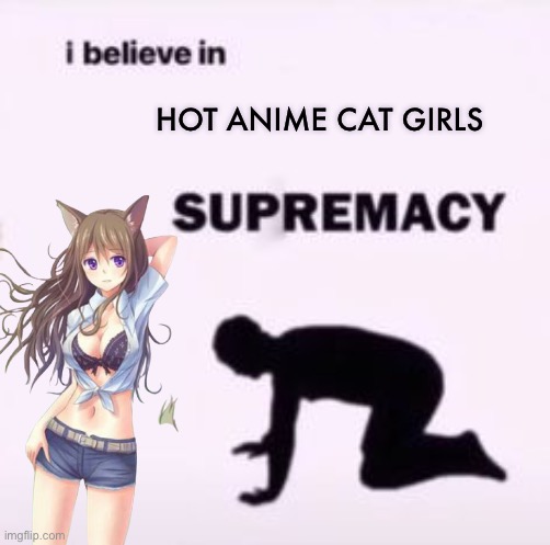 No judging | HOT ANIME CAT GIRLS | image tagged in i believe in supremacy,disney killed star wars,star wars kills disney | made w/ Imgflip meme maker