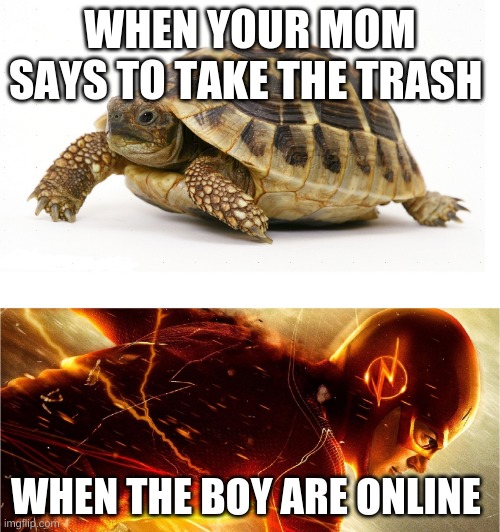 Slow vs Fast Meme | WHEN YOUR MOM SAYS TO TAKE THE TRASH; WHEN THE BOY ARE ONLINE | image tagged in slow vs fast meme | made w/ Imgflip meme maker