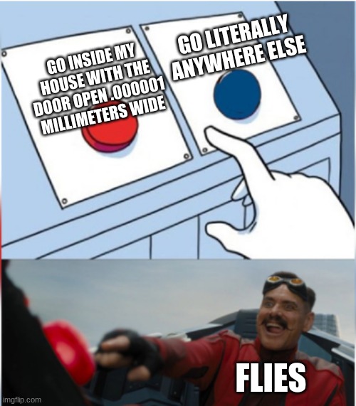 Robotnik Pressing Red Button | GO LITERALLY ANYWHERE ELSE; GO INSIDE MY HOUSE WITH THE DOOR OPEN .000001 MILLIMETERS WIDE; FLIES | image tagged in robotnik pressing red button | made w/ Imgflip meme maker