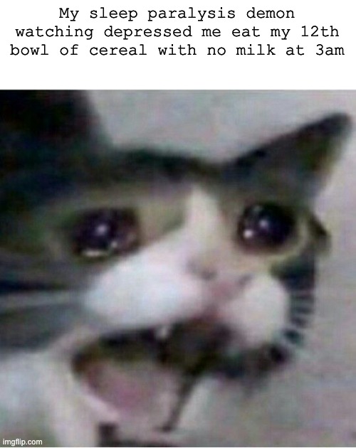 idk what to put so just see the meme plz | My sleep paralysis demon watching depressed me eat my 12th bowl of cereal with no milk at 3am | image tagged in crying cat | made w/ Imgflip meme maker