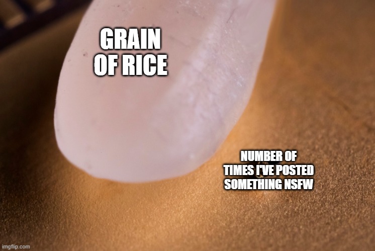 clean | GRAIN OF RICE; NUMBER OF TIMES I'VE POSTED SOMETHING NSFW | image tagged in grain of rice | made w/ Imgflip meme maker