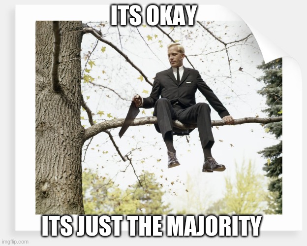 It's okay | ITS OKAY ITS JUST THE MAJORITY | image tagged in it's okay | made w/ Imgflip meme maker