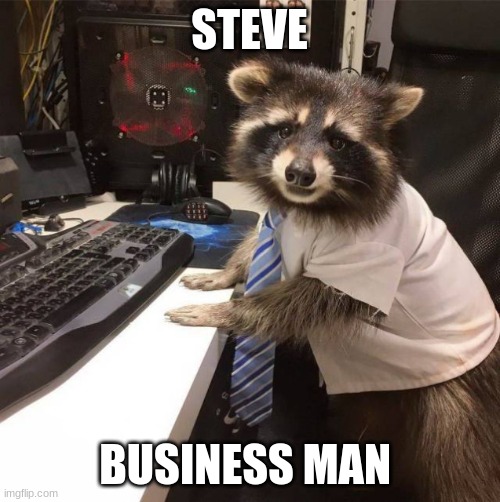 steve | STEVE; BUSINESS MAN | image tagged in tech raccon | made w/ Imgflip meme maker