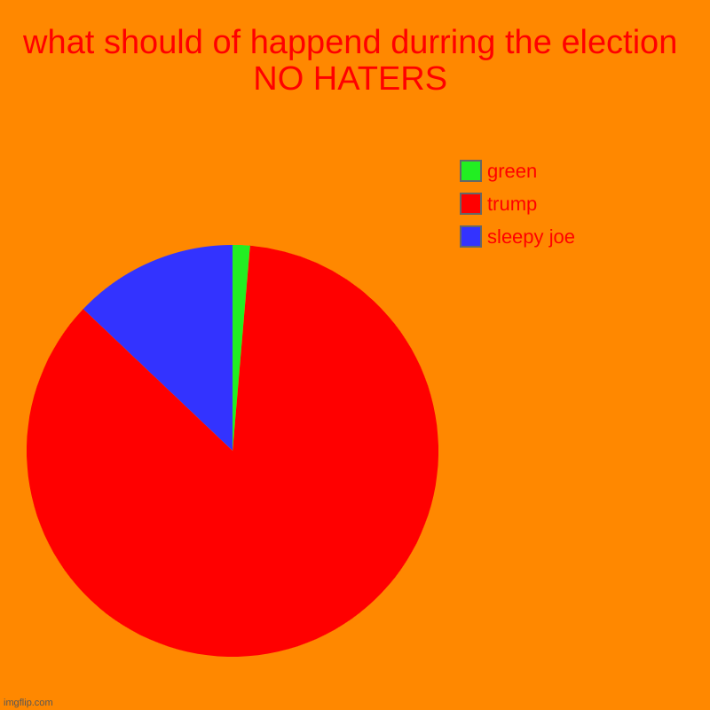 what should of happend durring the election NO HATERS | sleepy joe, trump, green | image tagged in charts,pie charts | made w/ Imgflip chart maker