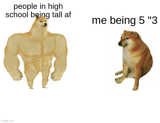 Buff Doge vs. Cheems Meme | people in high school being tall af; me being 5 "3 | image tagged in memes,buff doge vs cheems | made w/ Imgflip meme maker