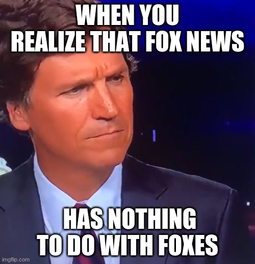 True | WHEN YOU REALIZE THAT FOX NEWS; HAS NOTHING TO DO WITH FOXES | image tagged in funny | made w/ Imgflip meme maker