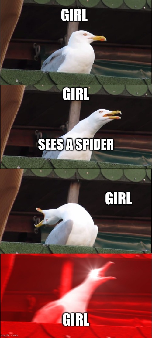 Inhaling Seagull Meme | GIRL; GIRL; SEES A SPIDER; GIRL; GIRL | image tagged in memes,inhaling seagull | made w/ Imgflip meme maker