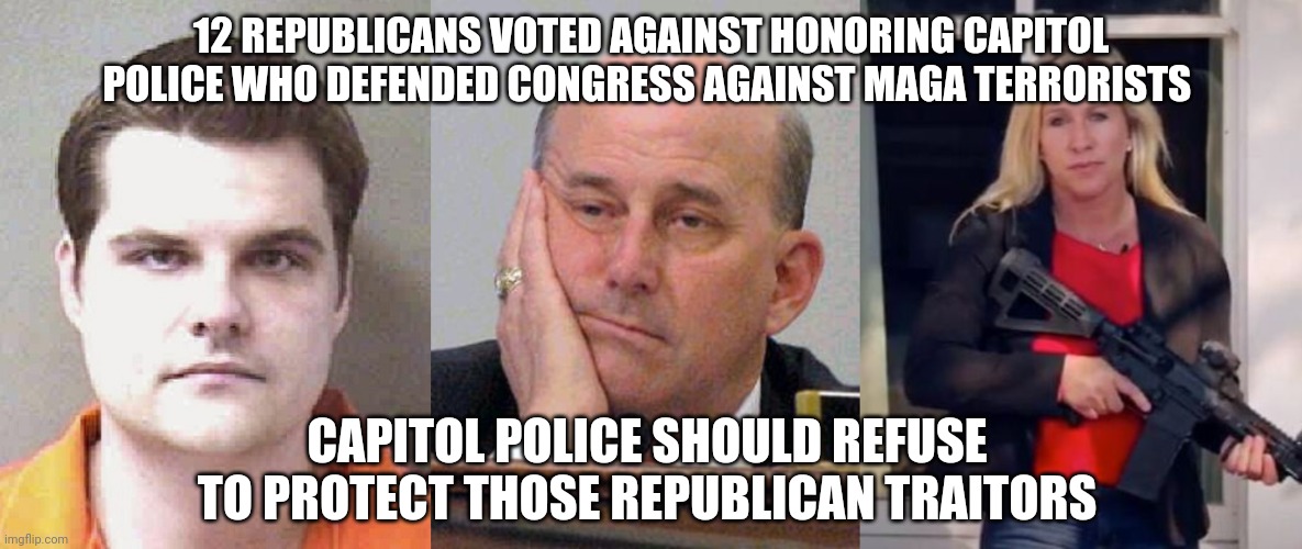 12 REPUBLICANS VOTED AGAINST HONORING CAPITOL POLICE WHO DEFENDED CONGRESS AGAINST MAGA TERRORISTS; CAPITOL POLICE SHOULD REFUSE TO PROTECT THOSE REPUBLICAN TRAITORS | image tagged in scumbag republicans,capitol hill,rioters,maga,terrorists,traitors | made w/ Imgflip meme maker
