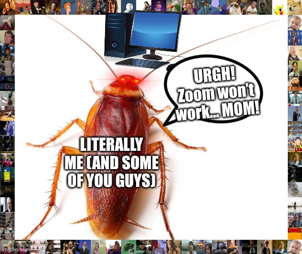 Everyone: | URGH! Zoom won’t work... MOM! LITERALLY ME (AND SOME OF YOU GUYS) | image tagged in okay truck | made w/ Imgflip meme maker