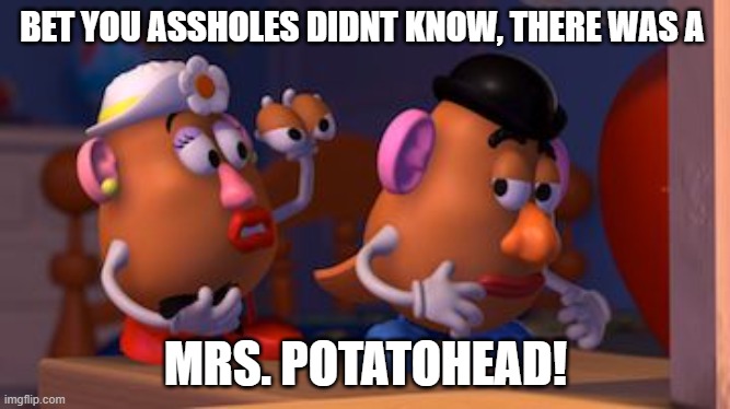 Mrs. Potato Head | BET YOU ASSHOLES DIDNT KNOW, THERE WAS A; MRS. POTATOHEAD! | image tagged in mrs potato head | made w/ Imgflip meme maker