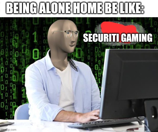 Security gaming | BEING ALONE HOME BE LIKE:; SECURITI GAMING | image tagged in tehc,security,gaming | made w/ Imgflip meme maker
