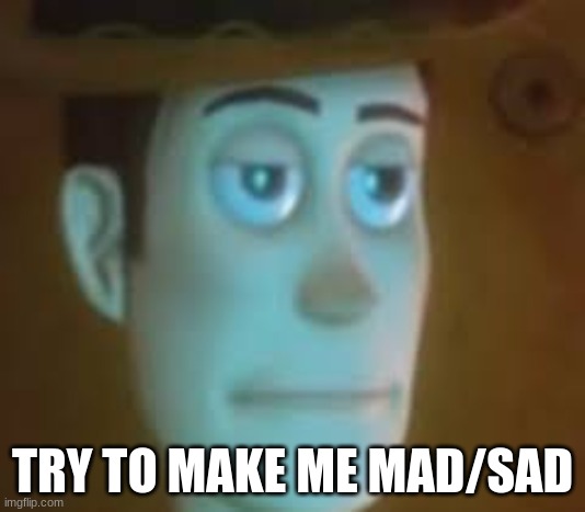 disappointed woody | TRY TO MAKE ME MAD/SAD | image tagged in disappointed woody | made w/ Imgflip meme maker