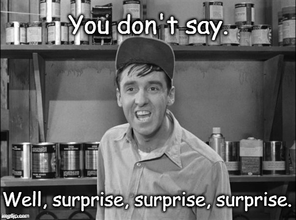 Surprise, Surprise, Surprise! | image tagged in gomer pyle,surprise,funny,andy griffith | made w/ Imgflip meme maker