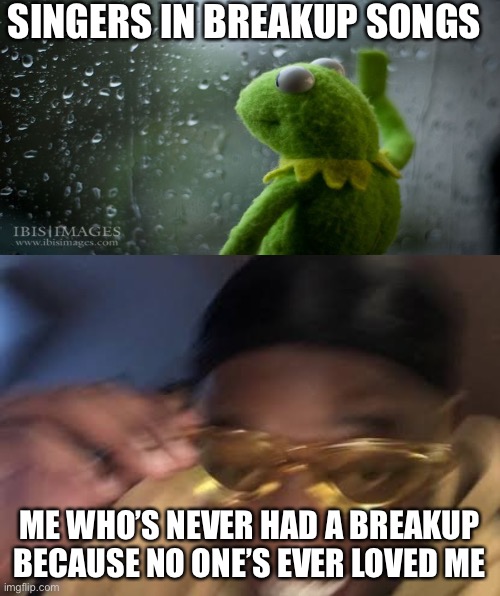 My Love Life | SINGERS IN BREAKUP SONGS; ME WHO’S NEVER HAD A BREAKUP BECAUSE NO ONE’S EVER LOVED ME | image tagged in guy in yellow sunglasses,breakup,love,love life,kermit,kermit window | made w/ Imgflip meme maker