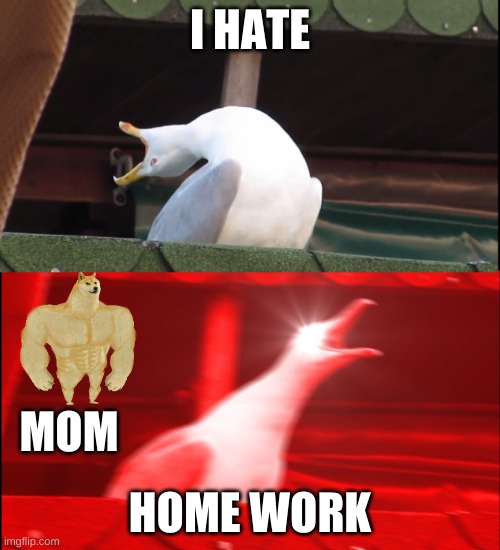 Screaming bird | I HATE; MOM; HOME WORK | image tagged in screaming bird | made w/ Imgflip meme maker