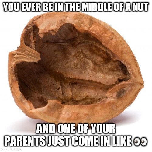Nutshell | YOU EVER BE IN THE MIDDLE OF A NUT; AND ONE OF YOUR PARENTS JUST COME IN LIKE 👀 | image tagged in nutshell | made w/ Imgflip meme maker