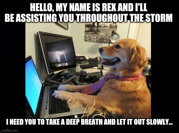Doggie Thunder Alert System | HELLO, MY NAME IS REX AND I'LL BE ASSISTING YOU THROUGHOUT THE STORM; I NEED YOU TO TAKE A DEEP BREATH AND LET IT OUT SLOWLY... | image tagged in dogs,thunder,scared digs,storm,help,funny | made w/ Imgflip meme maker