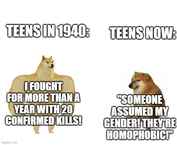 Buff Doge vs Crying Cheems | TEENS IN 1940:; TEENS NOW:; I FOUGHT FOR MORE THAN A YEAR WITH 20 CONFIRMED KILLS! "SOMEONE ASSUMED MY GENDER! THEY'RE HOMOPHOBIC!" | image tagged in buff doge vs crying cheems | made w/ Imgflip meme maker