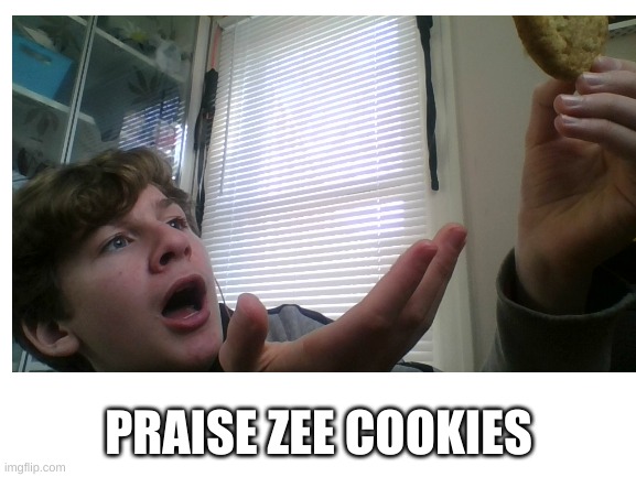 Zee_cookies | PRAISE ZEE COOKIES | image tagged in someone,date,me,please | made w/ Imgflip meme maker