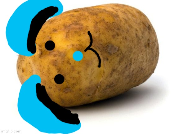 PotatoRabbit/Face Reveal lol | image tagged in potatorabbit,face reveal | made w/ Imgflip meme maker