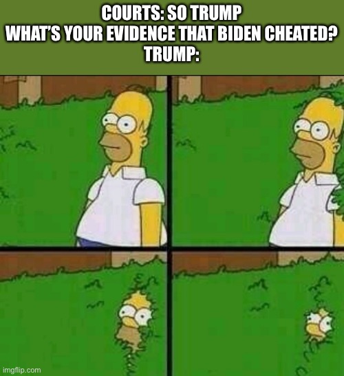 Lol conservatives are so delusional | COURTS: SO TRUMP WHAT’S YOUR EVIDENCE THAT BIDEN CHEATED?
TRUMP: | image tagged in homer simpson nope,conservatives suck | made w/ Imgflip meme maker