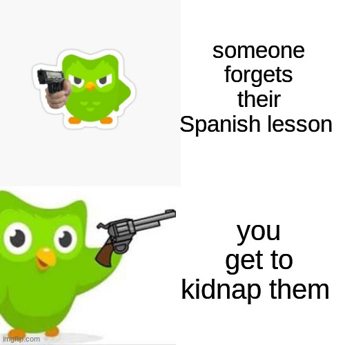 tehe | someone forgets their Spanish lesson; you get to kidnap them | image tagged in duolingo bird | made w/ Imgflip meme maker