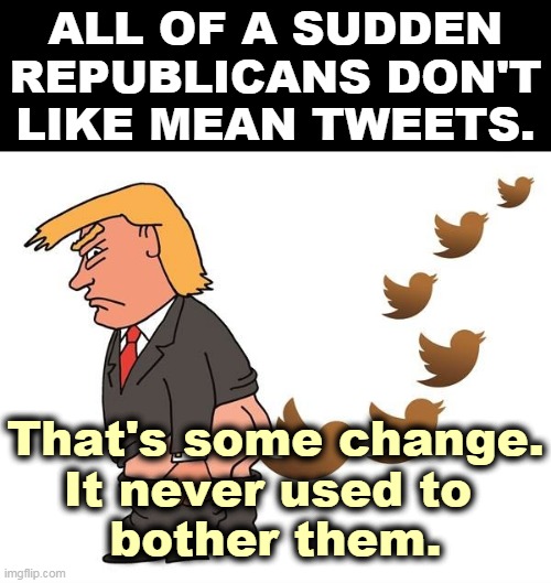 Now then, Donnie, nasty, nasty! | ALL OF A SUDDEN REPUBLICANS DON'T LIKE MEAN TWEETS. That's some change.
It never used to 
bother them. | image tagged in trump twitter tweet,mean,republicans,ok,democrats,no | made w/ Imgflip meme maker
