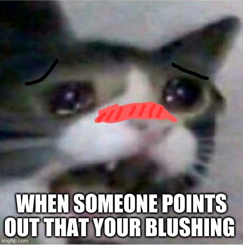 crying cat | WHEN SOMEONE POINTS OUT THAT YOUR BLUSHING | image tagged in crying cat | made w/ Imgflip meme maker
