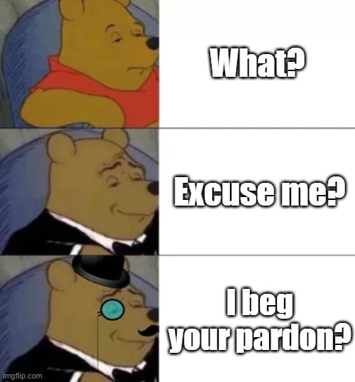 Yes much better | What? Excuse me? I beg your pardon? | image tagged in fancy pooh | made w/ Imgflip meme maker