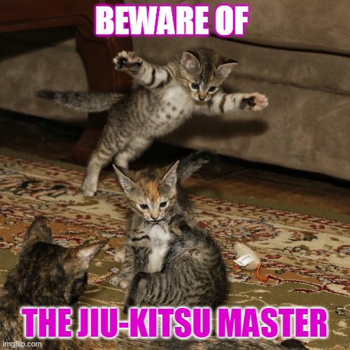 kitten ambush | BEWARE OF THE JIU-KITSU MASTER | image tagged in kitten ambush | made w/ Imgflip meme maker