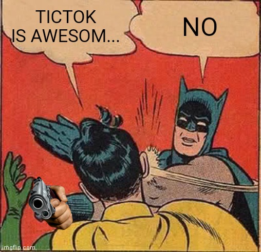 Batman Slapping Robin | TICTOK IS AWESOM... NO | image tagged in memes,batman slapping robin | made w/ Imgflip meme maker