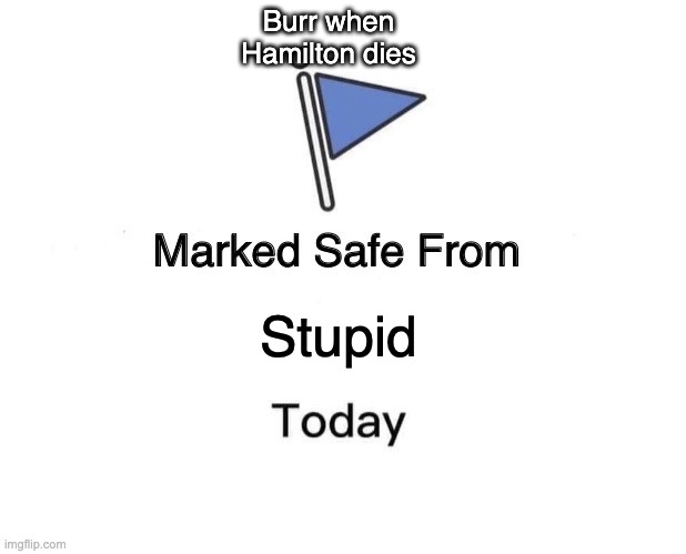 His opinion not mine | Burr when Hamilton dies; Stupid | image tagged in memes,marked safe from | made w/ Imgflip meme maker