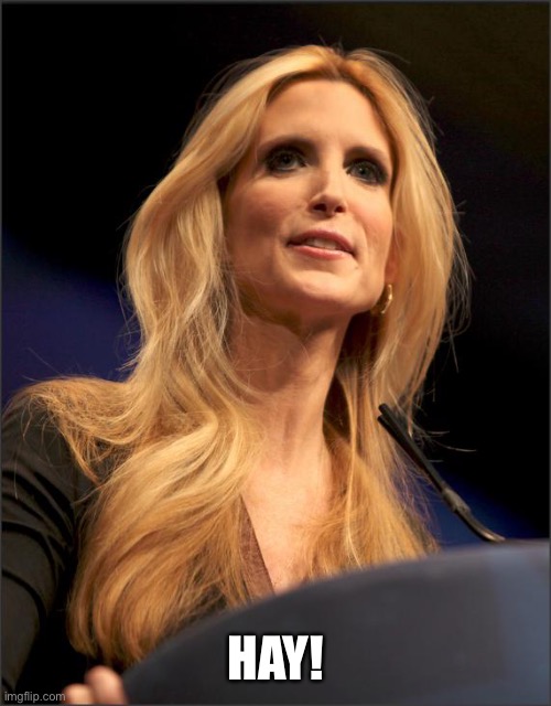 Ann Coulter | HAY! | image tagged in ann coulter | made w/ Imgflip meme maker