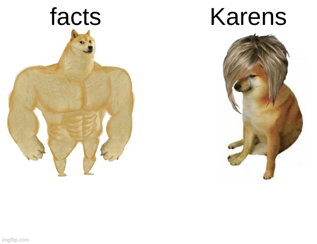 I have seen karens on imgflip | facts; Karens | image tagged in memes,buff doge vs cheems | made w/ Imgflip meme maker