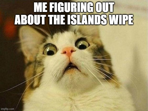 Scared Cat Meme | ME FIGURING OUT ABOUT THE ISLANDS WIPE | image tagged in memes,scared cat | made w/ Imgflip meme maker