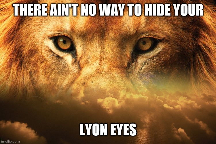 Lyon eyes | THERE AIN'T NO WAY TO HIDE YOUR; LYON EYES | image tagged in lion | made w/ Imgflip meme maker