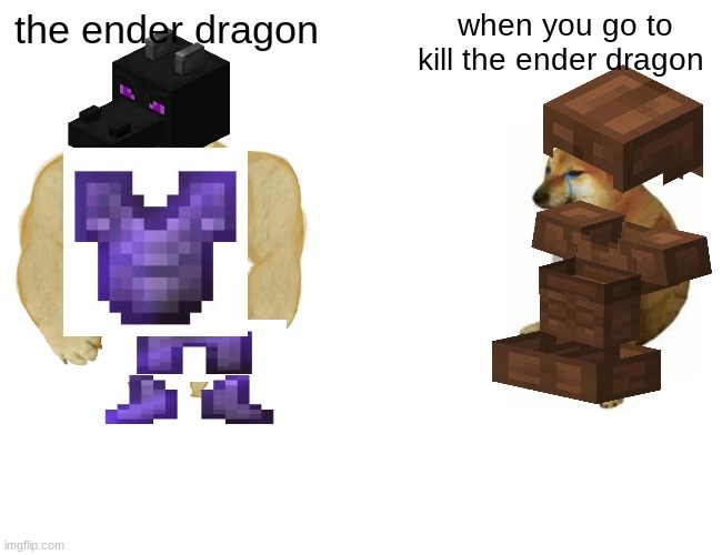 Buff Doge vs. Cheems Meme | the ender dragon; when you go to kill the ender dragon | image tagged in memes,buff doge vs cheems | made w/ Imgflip meme maker