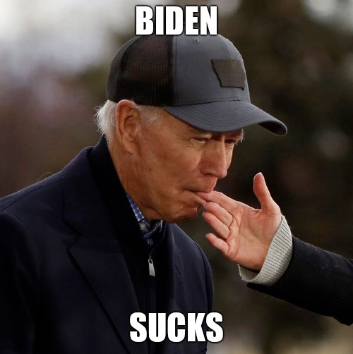 Biden attacks | BIDEN SUCKS | image tagged in biden attacks | made w/ Imgflip meme maker