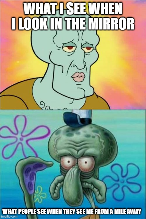 Don't I look good | WHAT I SEE WHEN I LOOK IN THE MIRROR; WHAT PEOPLE SEE WHEN THEY SEE ME FROM A MILE AWAY | image tagged in memes,squidward | made w/ Imgflip meme maker