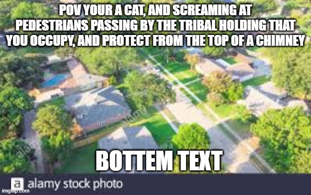 b | POV YOUR A CAT, AND SCREAMING AT PEDESTRIANS PASSING BY THE TRIBAL HOLDING THAT YOU OCCUPY, AND PROTECT FROM THE TOP OF A CHIMNEY; BOTTEM TEXT | image tagged in funny | made w/ Imgflip meme maker