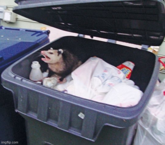 Trash Possum | image tagged in trash possum | made w/ Imgflip meme maker