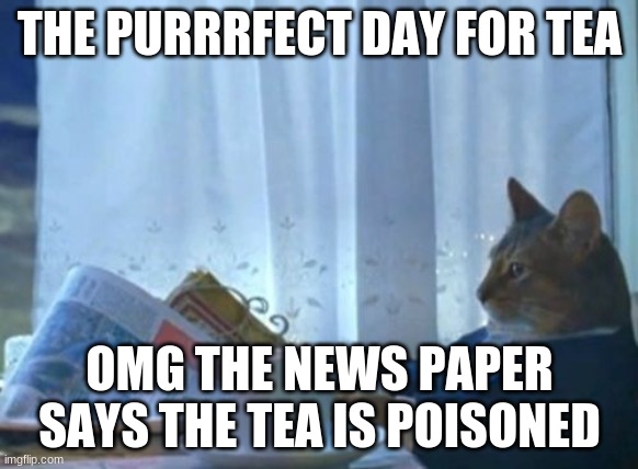Okay, news papers telling if tea is poisoned is...no | THE PURRRFECT DAY FOR TEA; OMG THE NEWS PAPER SAYS THE TEA IS POISONED | image tagged in memes,i should buy a boat cat | made w/ Imgflip meme maker