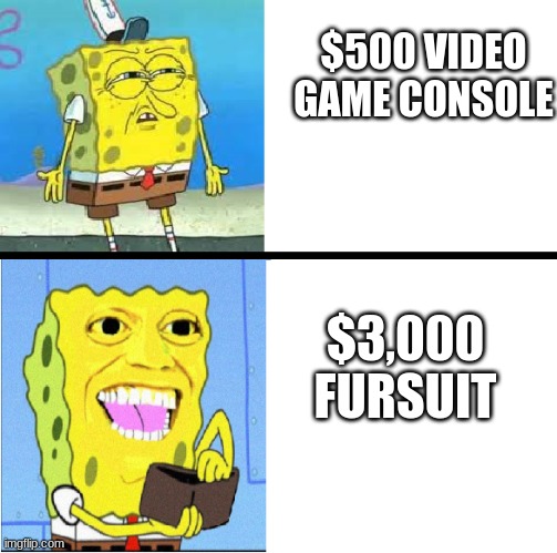 idk | $500 VIDEO GAME CONSOLE; $3,000 FURSUIT | image tagged in spongebob money meme | made w/ Imgflip meme maker