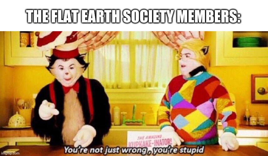 You're not just wrong, you're stupid | THE FLAT EARTH SOCIETY MEMBERS: | image tagged in you're not just wrong you're stupid | made w/ Imgflip meme maker