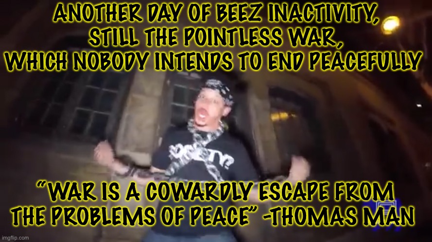 Some Facts | ANOTHER DAY OF BEEZ INACTIVITY, STILL THE POINTLESS WAR, WHICH NOBODY INTENDS TO END PEACEFULLY; “WAR IS A COWARDLY ESCAPE FROM THE PROBLEMS OF PEACE” -THOMAS MAN | image tagged in hahah,wuotes | made w/ Imgflip meme maker