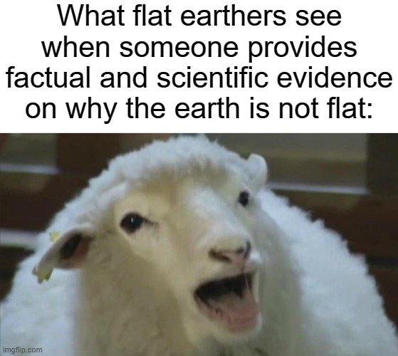 What flat earthers see when someone provides factual and scientific evidence on why the earth is not flat: | image tagged in blank white template,derp sheep,sheep,flat earthers | made w/ Imgflip meme maker
