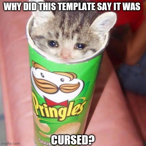 It's not cursed Imgflip | WHY DID THIS TEMPLATE SAY IT WAS; CURSED? | image tagged in blessed cat | made w/ Imgflip meme maker